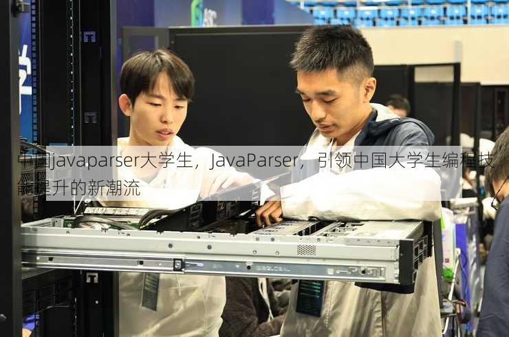 中国javaparser大学生