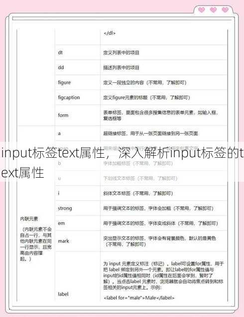 input标签text属性