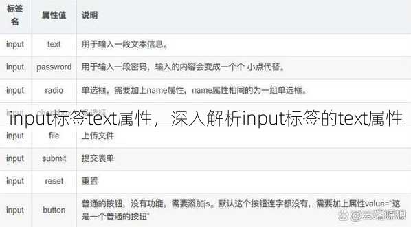 input标签text属性