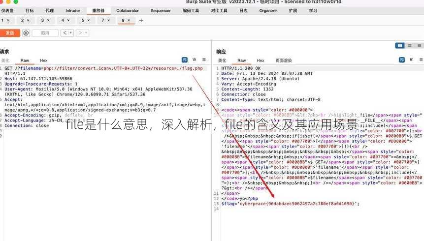 file是什么意思
