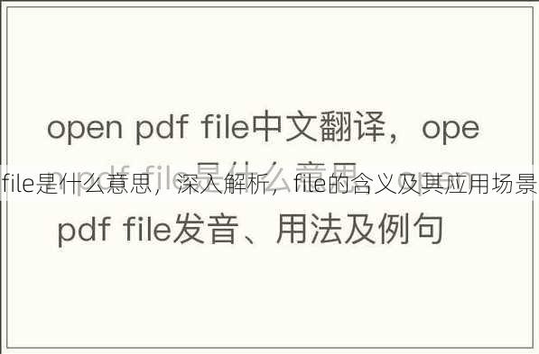 file是什么意思