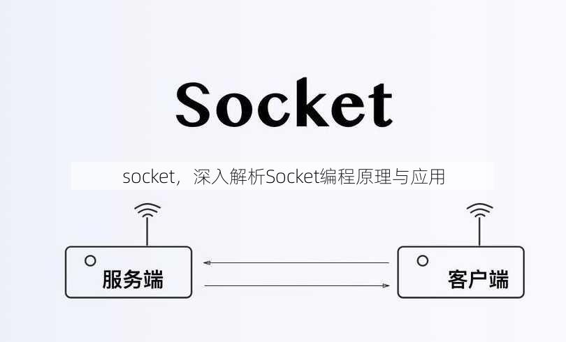 socket