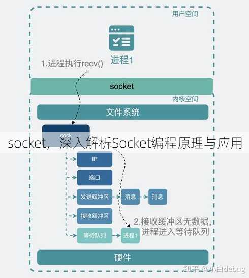 socket