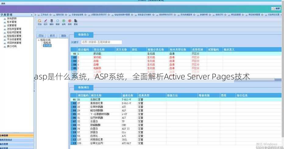 asp是什么系统