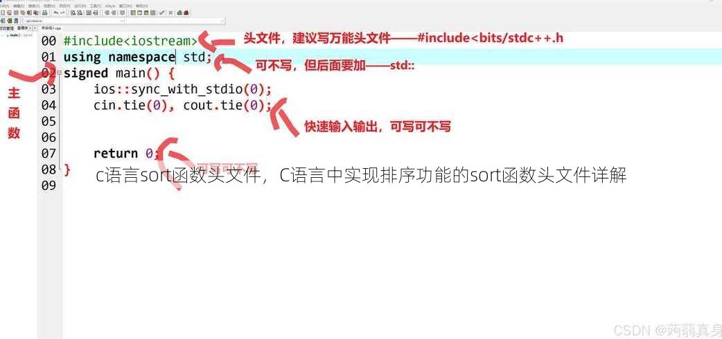 c语言sort函数头文件