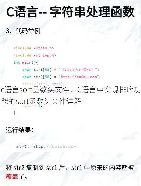 c语言sort函数头文件