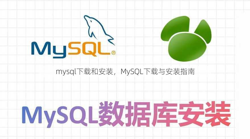 mysql下载和安装