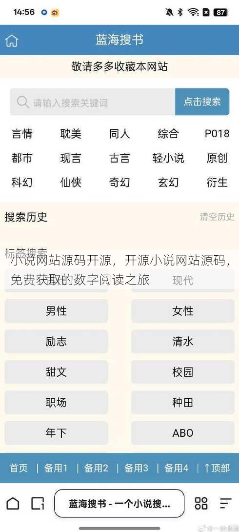 小说网站源码开源
