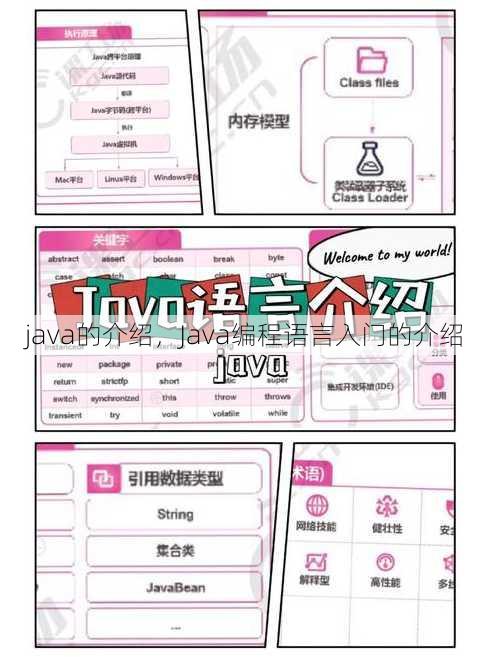 java的介绍