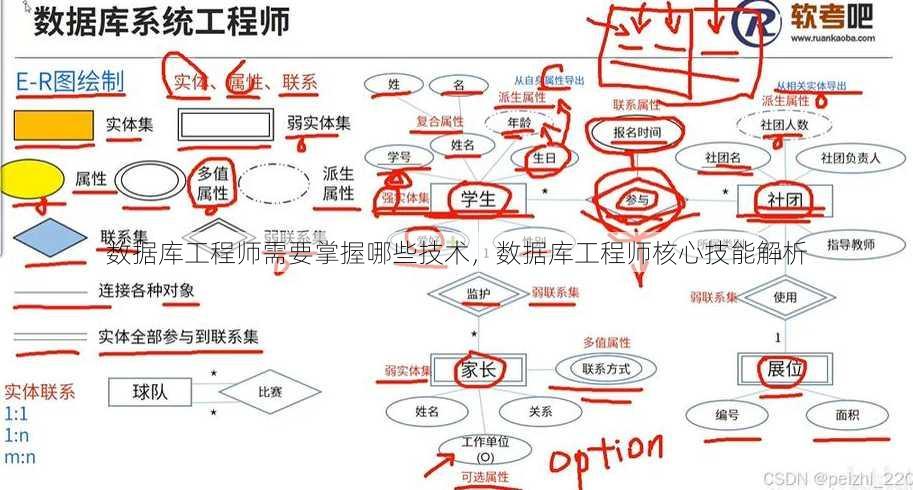 数据库工程师需要掌握哪些技术