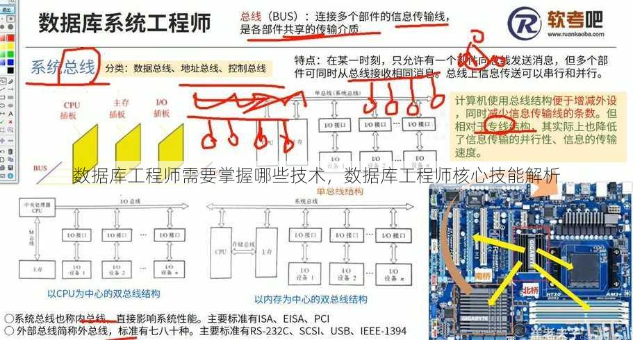 数据库工程师需要掌握哪些技术