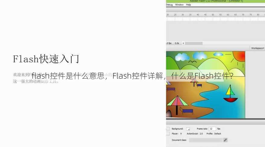 flash控件是什么意思