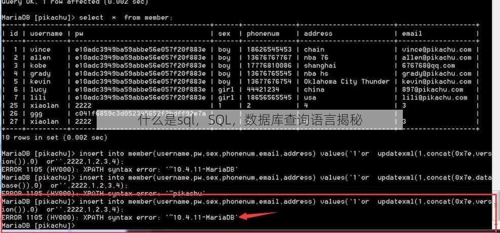 什么是sql