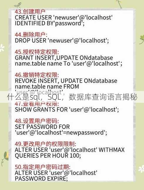 什么是sql