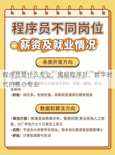 程序员是什么专业