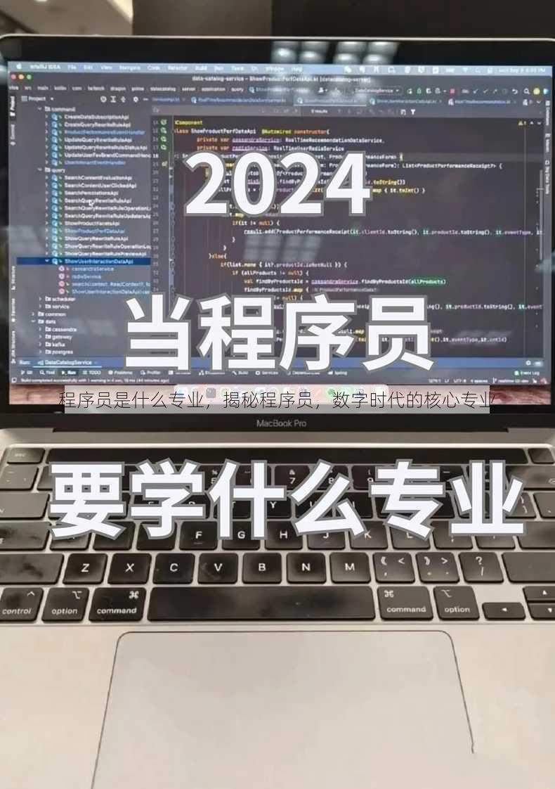 程序员是什么专业