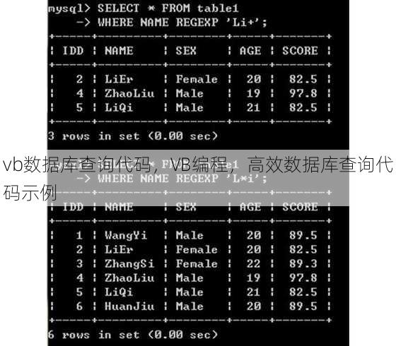 vb数据库查询代码