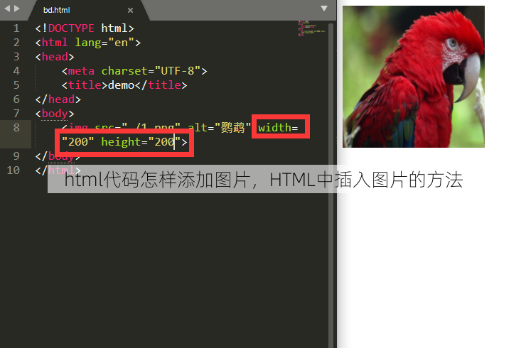 html代码怎样添加图片