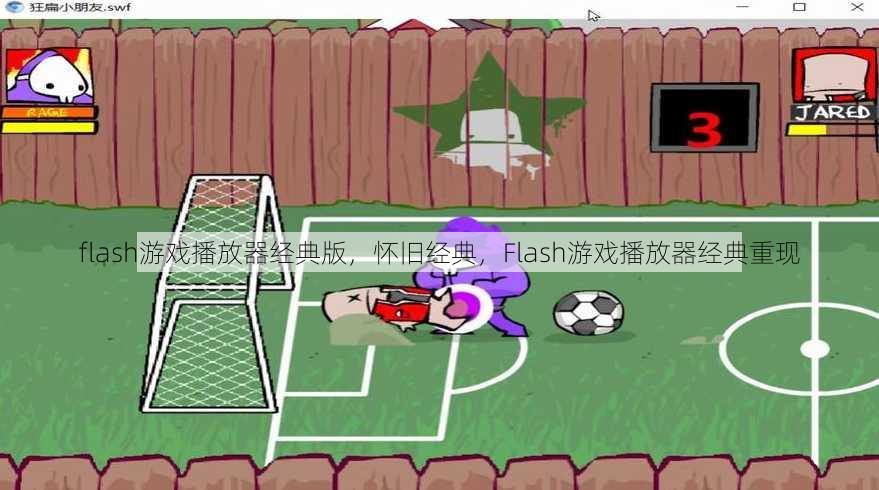 flash游戏播放器经典版