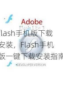 flash手机版下载安装