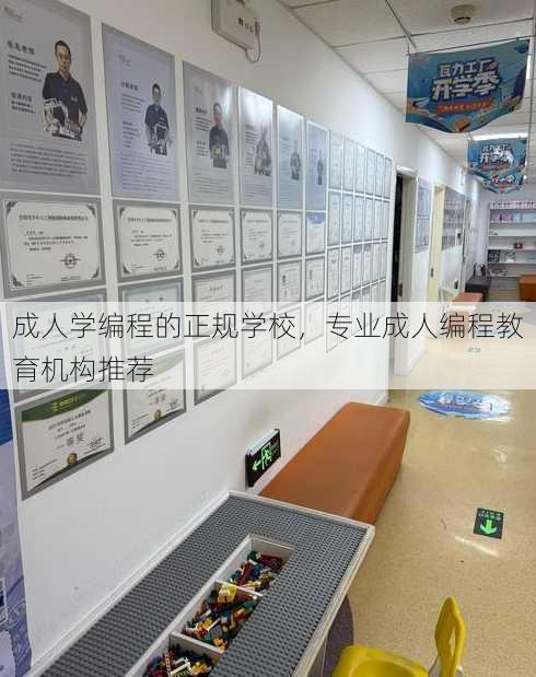 成人学编程的正规学校