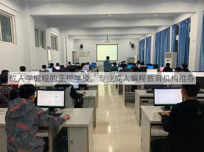 成人学编程的正规学校