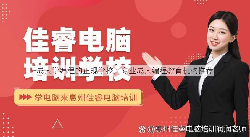 成人学编程的正规学校
