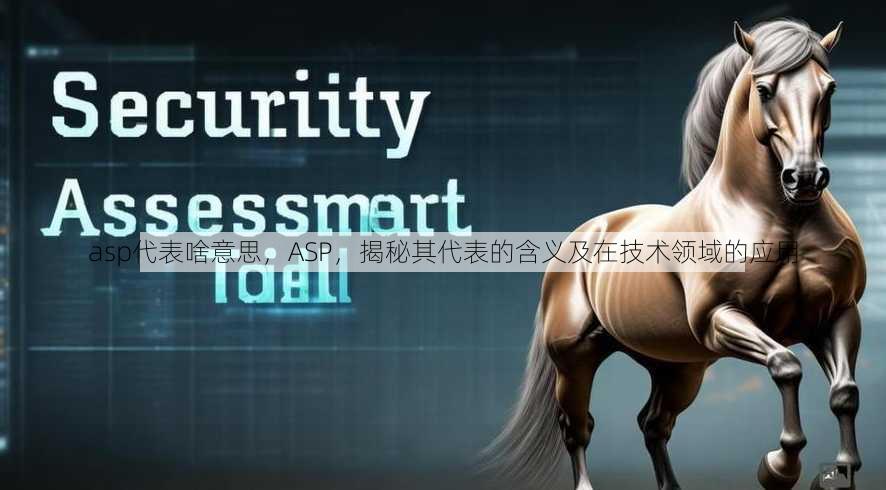 asp代表啥意思