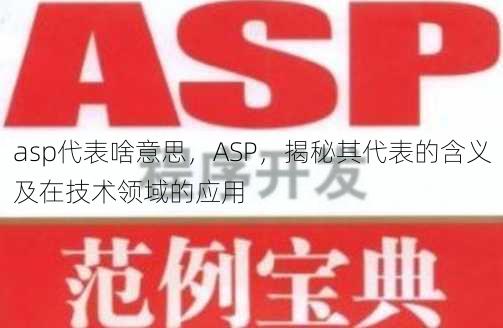 asp代表啥意思