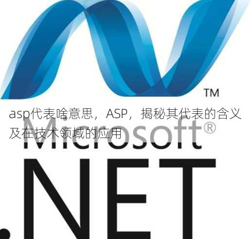 asp代表啥意思