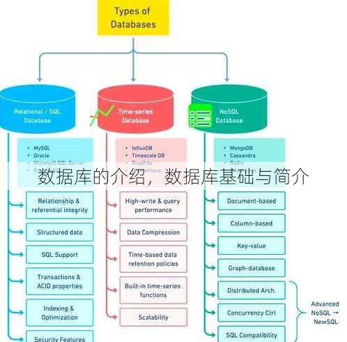 数据库的介绍