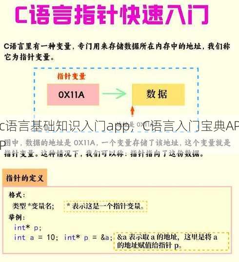 c语言基础知识入门app