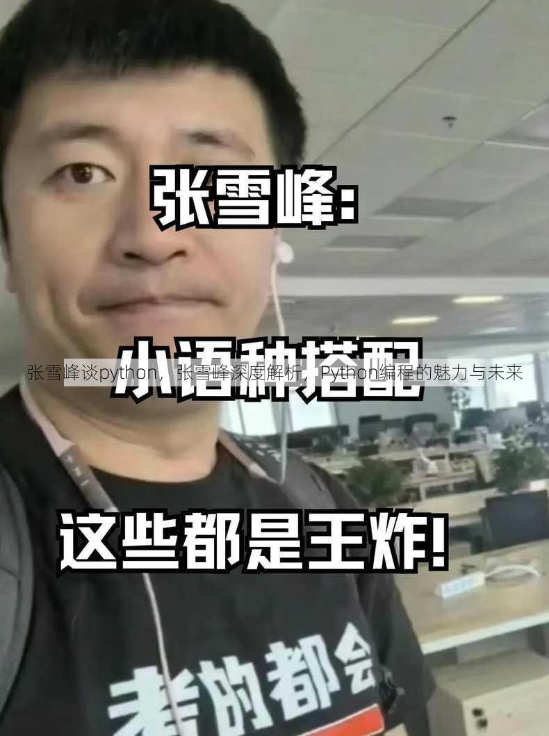 张雪峰谈python