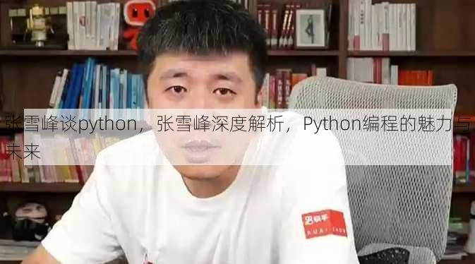 张雪峰谈python