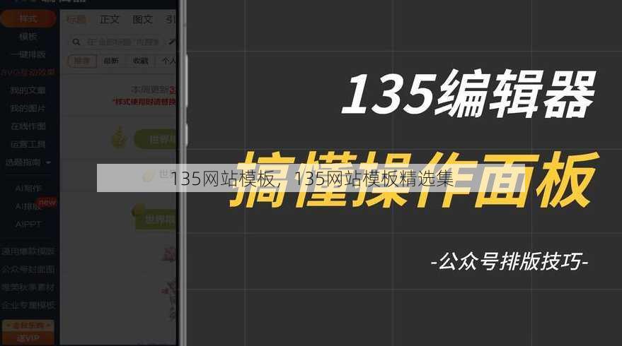 135网站模板