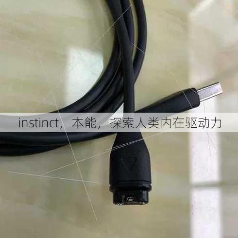 instinct