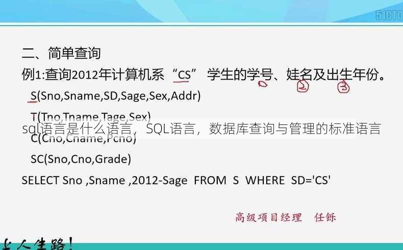 sql语言是什么语言