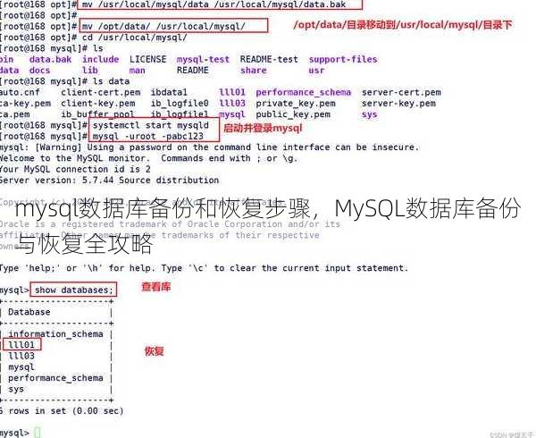 mysql数据库备份和恢复步骤