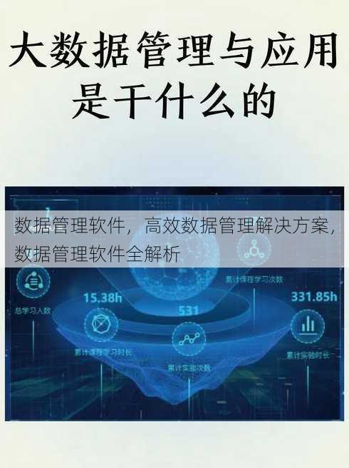 数据管理软件