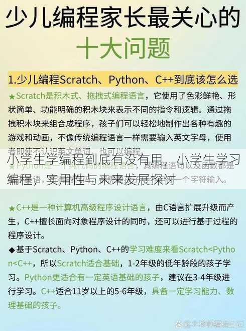 小学生学编程到底有没有用