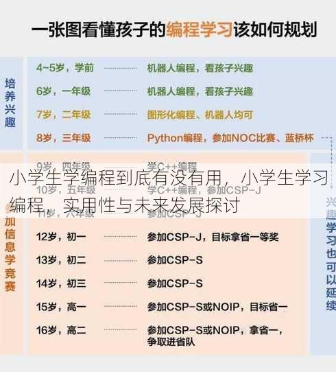小学生学编程到底有没有用