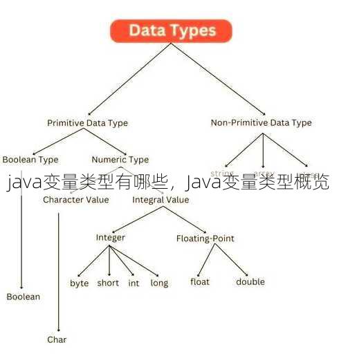 java变量类型有哪些