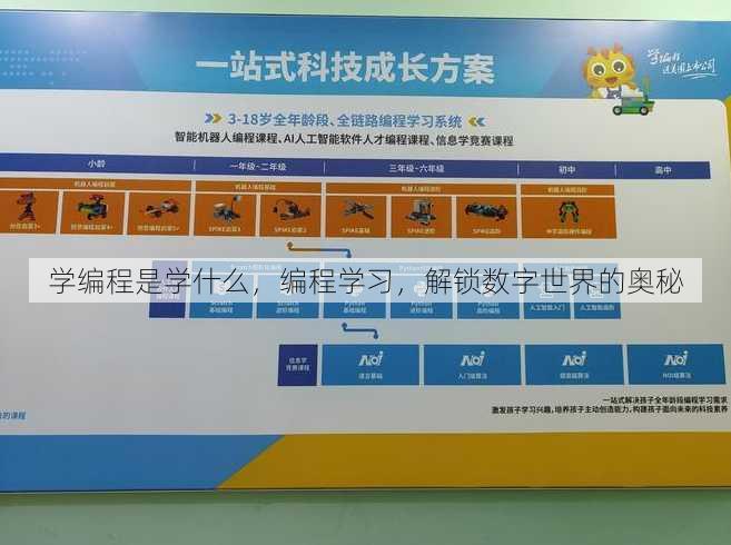 学编程是学什么