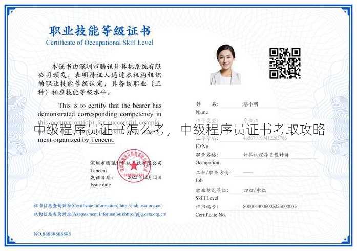 中级程序员证书怎么考