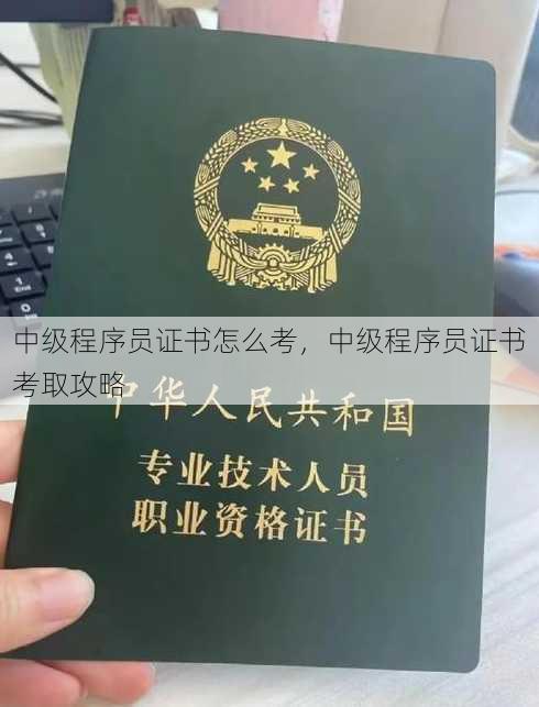 中级程序员证书怎么考