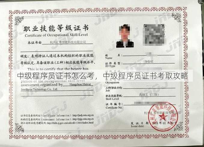 中级程序员证书怎么考