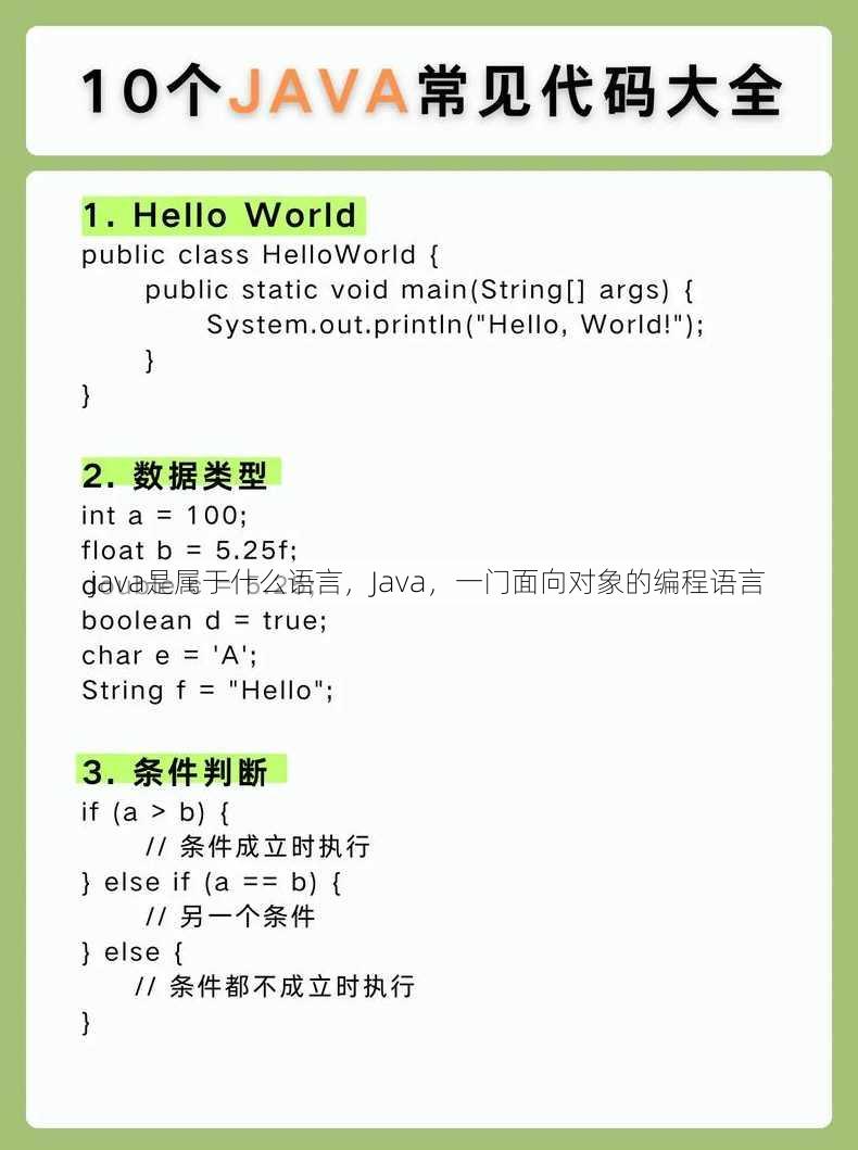 java是属于什么语言