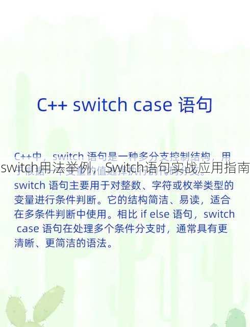 switch用法举例