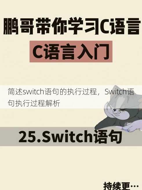 简述switch语句的执行过程