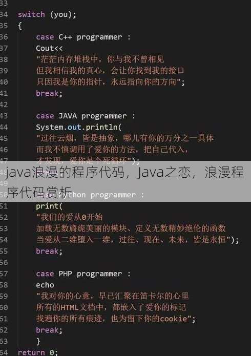 java浪漫的程序代码
